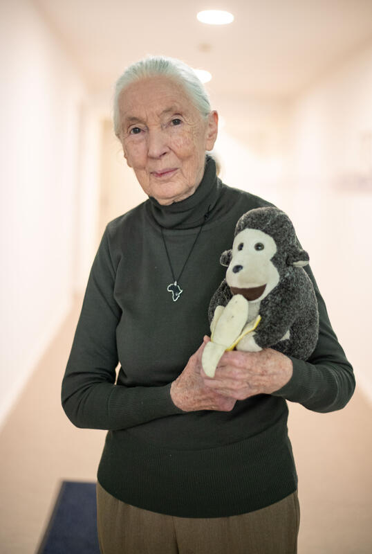 Die britische Verhaltensforscherin Jane Goodall mit Kuscheltier Mr. H am 2. Mai 2023 in München.   **   The English primatologist and anthropologist Dame Jane Morris Goodall with her monkey Mr. H on May 2, 2023 in Munich, Germany.