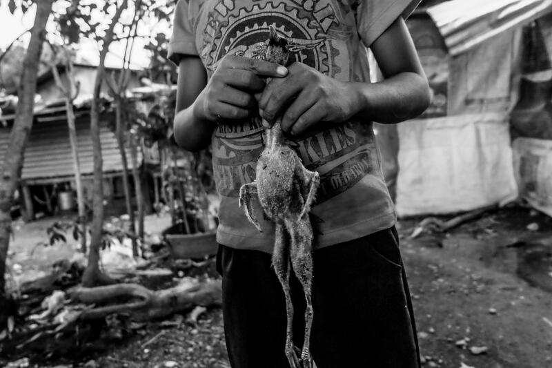 A son of a rice farm worker holds a featherless bird his father prepares for their supper after a full day of planting rice seedlings for a wealthy farmer on June 16, 2021, in Isabela province, Philippines. While they do not have the cash to purchase food and provisions, the poor farmer settles for hunting birds in the rice fields to provide a protein-based diet.