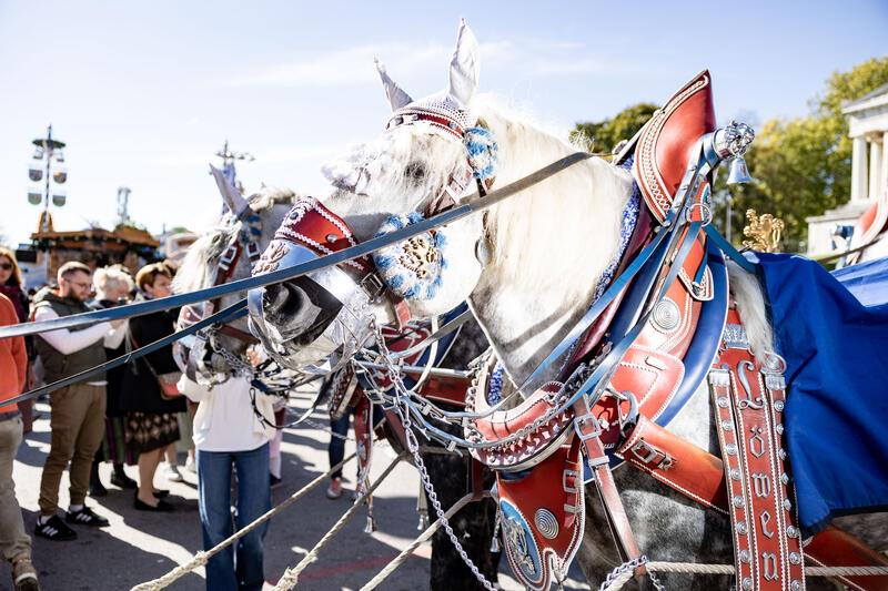 Pferde Kutsche. Impressionen vom Oktoberfest am Tag der deutschen Einheit am 03.10.2025 in München.   --   Horse coach. Impressions from the Oktoberfest on the the national holiday on October 03, 2025 in Munich, Germany.