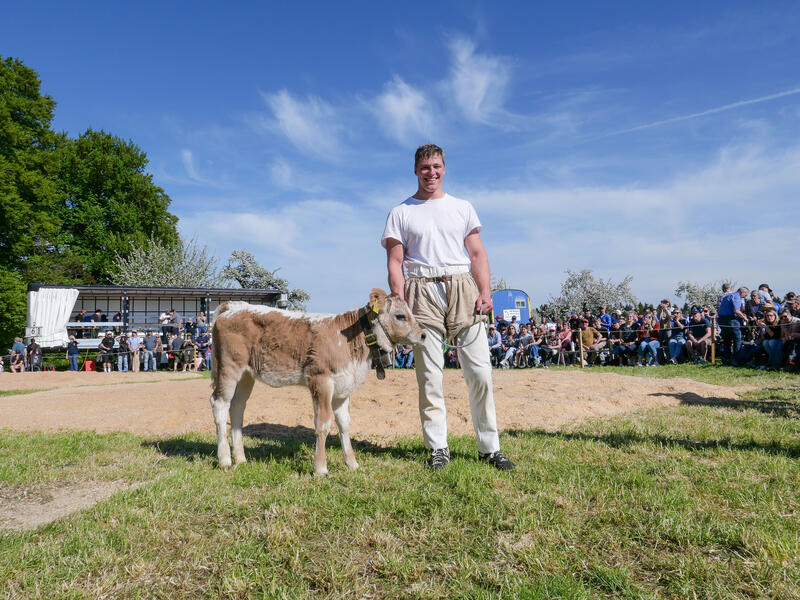 Tag 2 des Eschenberg-Schwingfest auf dem Winterthurer Hausberg - von Raimond Lueppken