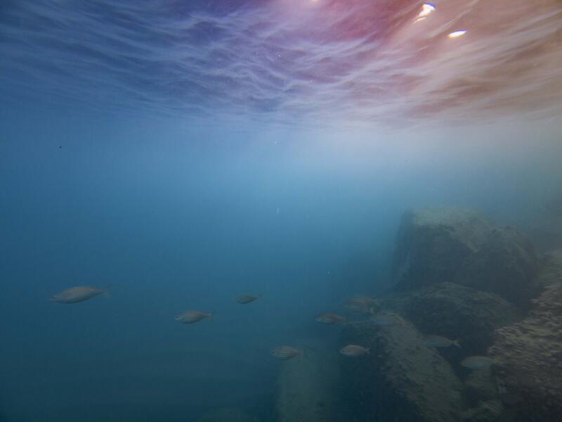 Neue Unterwasserfotografie - von Alexander Pohl
