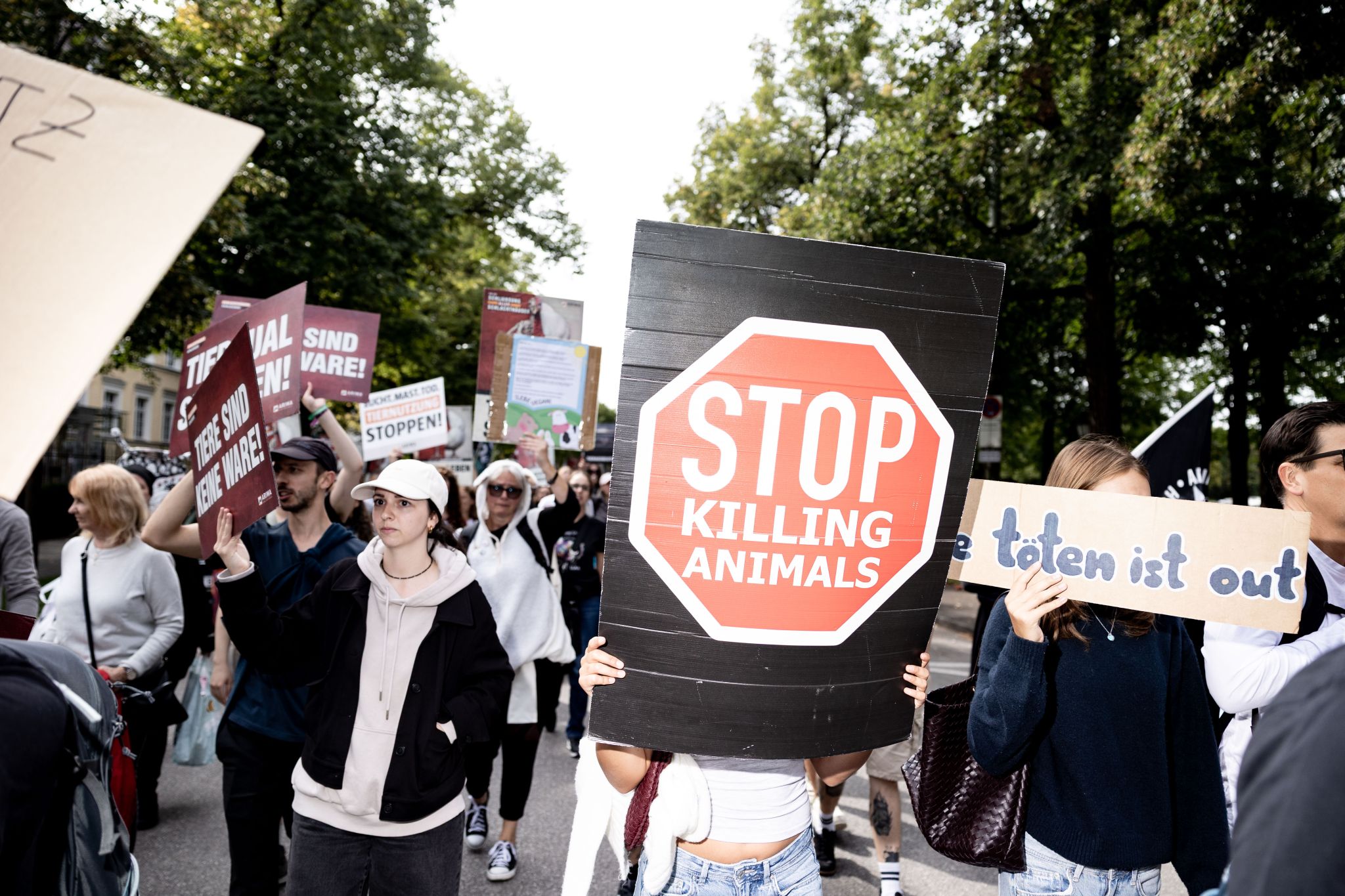 altoPohlARW13092025-37