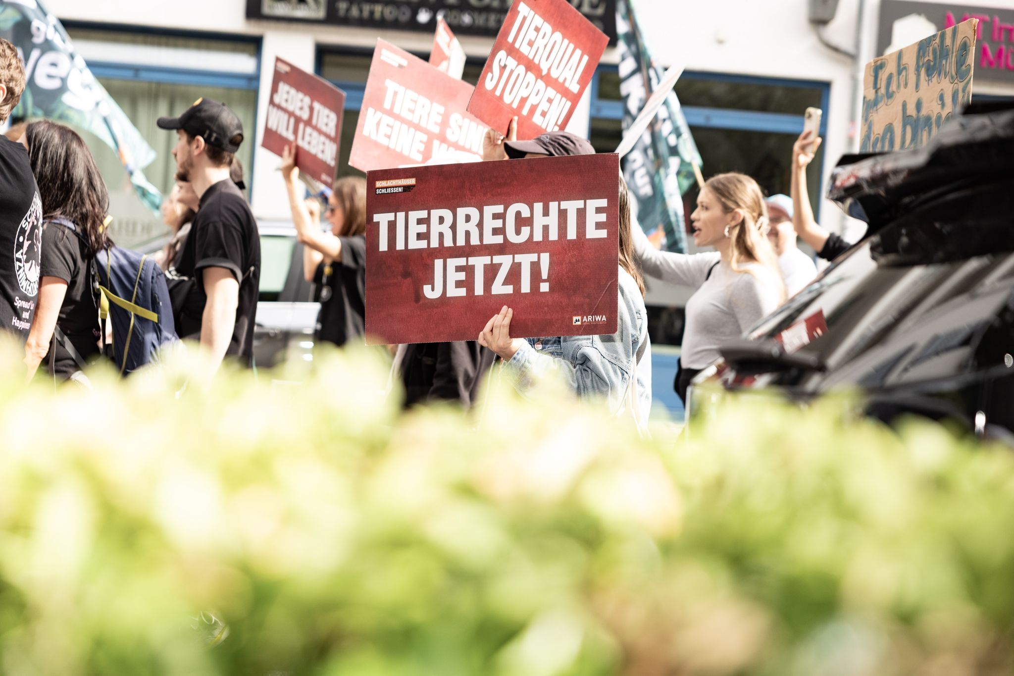 altoPohlARW13092025-60