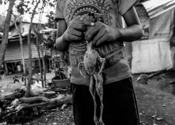 A son of a rice farm worker holds a featherless bird his father prepares for their supper after a full day of planting rice seedlings for a wealthy farmer on June 16, 2021, in Isabela province, Philippines. While they do not have the cash to purchase food and provisions, the poor farmer settles for hunting birds in the rice fields to provide a protein-based diet.